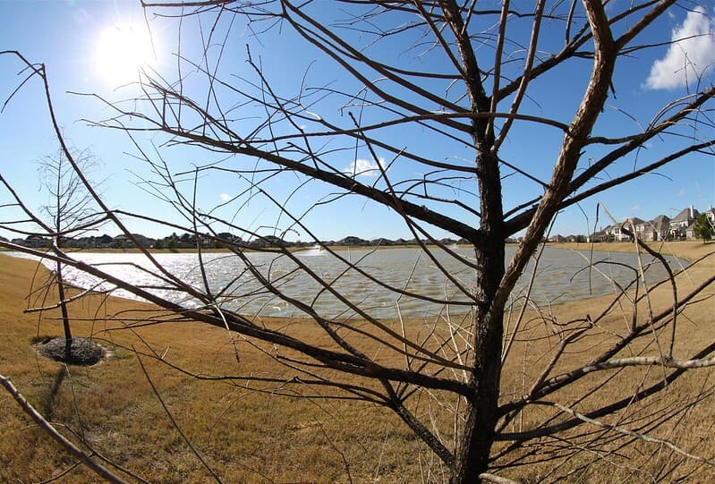 Pros and Cons of Living in Cypress TX