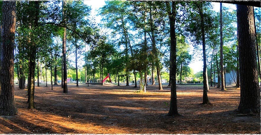 6 Reasons Cypress is One of the Best Places to Live in the Lone Star State